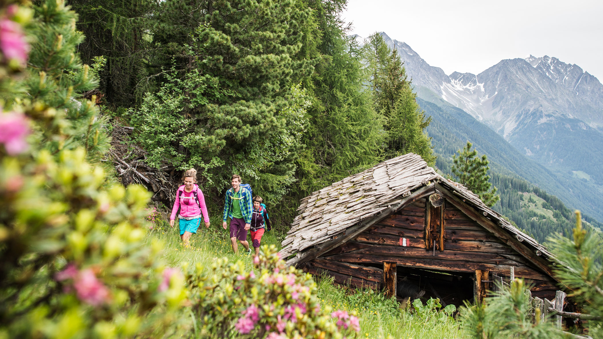 Hiking in Rasun and surroundings